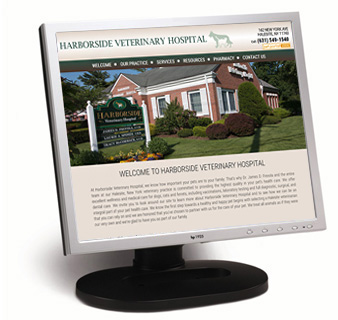 vet web design